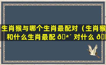 生肖猴与哪个生肖最配对（生肖猴和什么生肖最配 🪴 对什么 🕷 生肖最旺猴）
